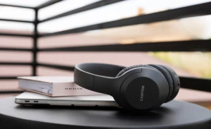Earphones & Headphones