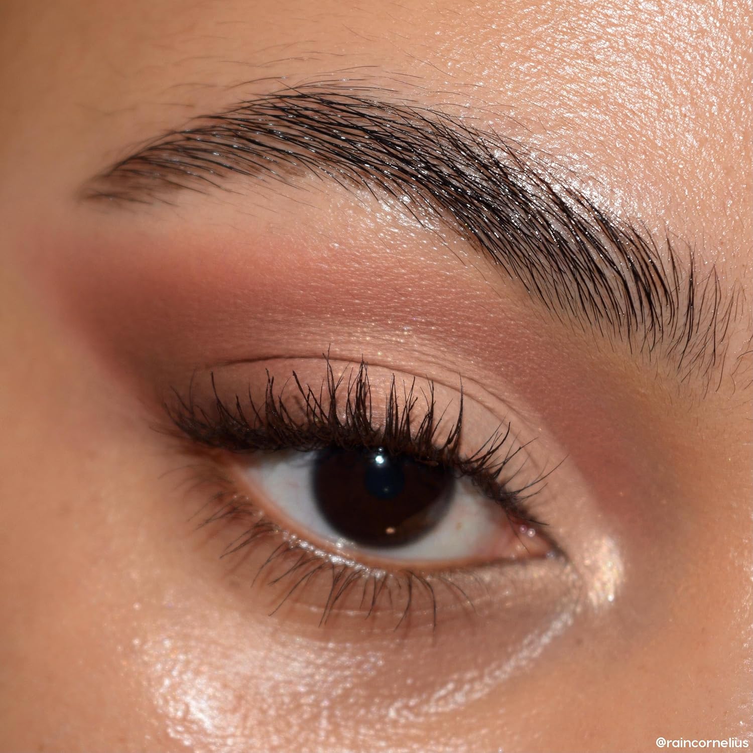 ColourPop Eyeshadow Palette - Eye Makeup Palette with Matte, Metallic, Matte Sparkle & Glitter Finishes - High-Pigment Eye Makeup with a Long-Wearing Formula - 2