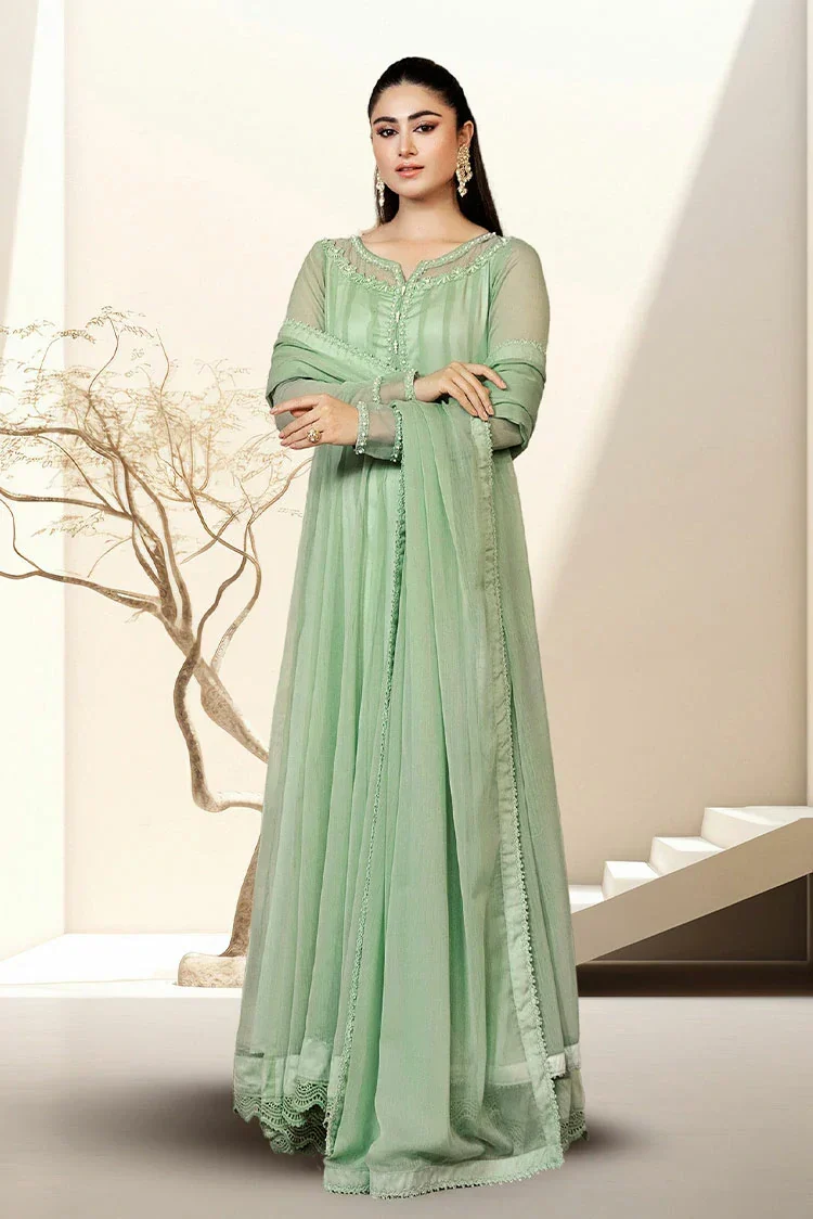 CC-91 Plain Chiffon - 2