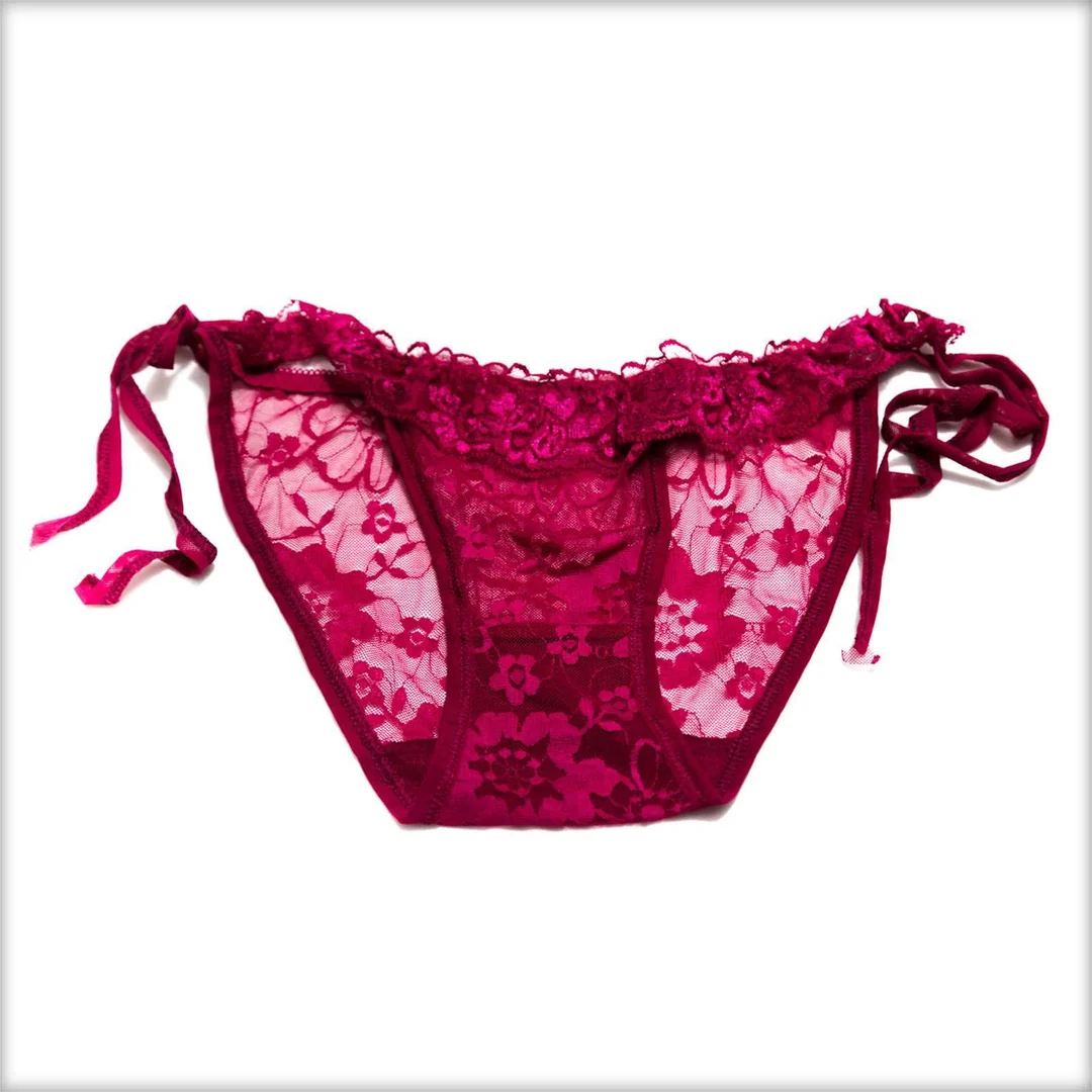 Red Embroidered Net Panty