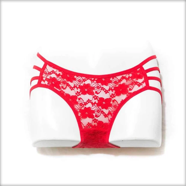 Red Embroidered Net Panty - 2