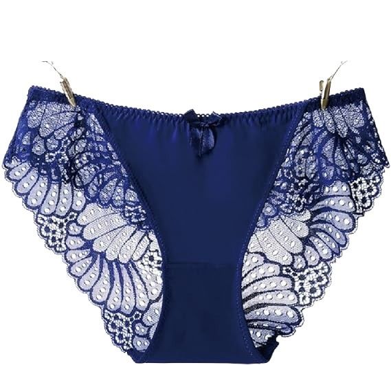 Embroidered Net Panty